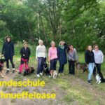 Hundeführerschein